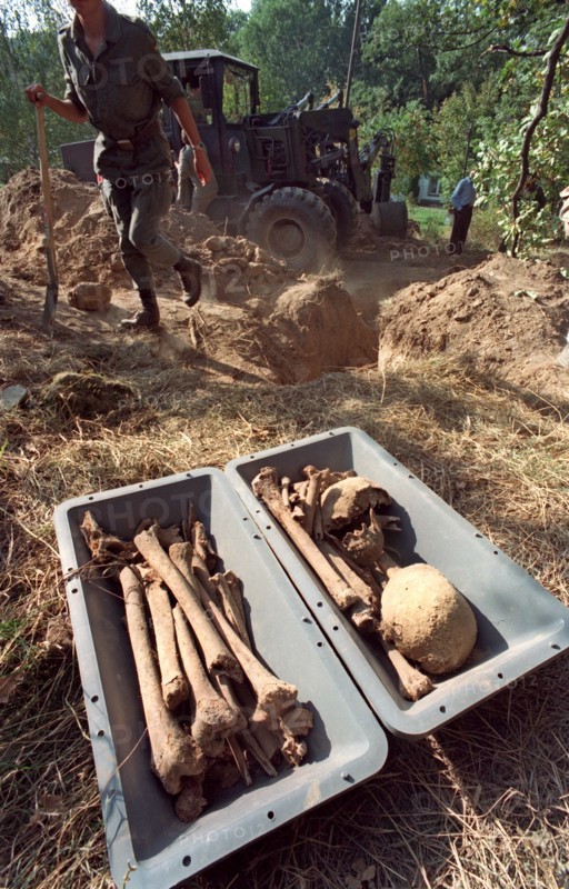 Bautzen mass grave