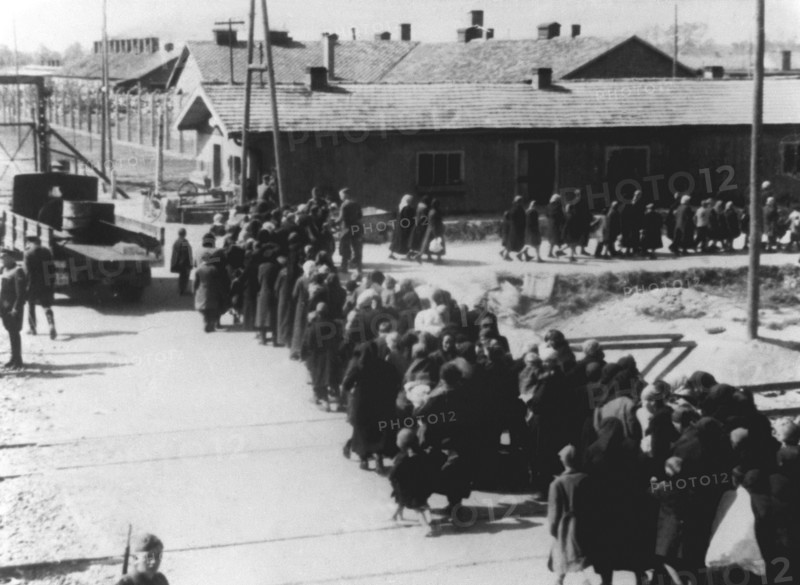 Concentration camp - Auschwitz