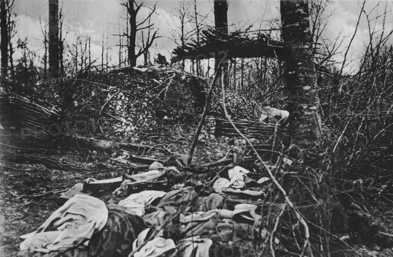 Bataille de Verdun, février 1916