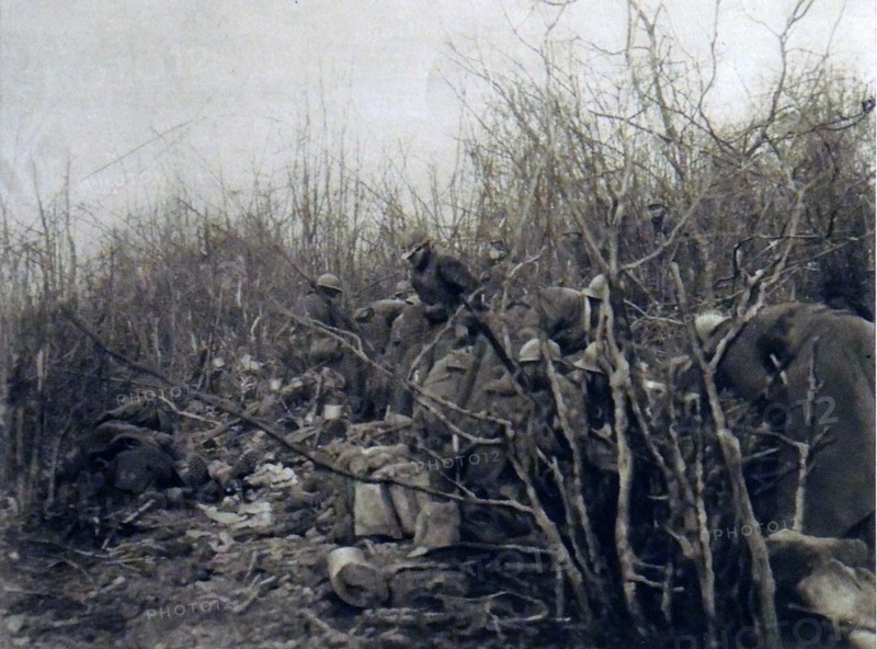 La bataille de la Somme, 1916