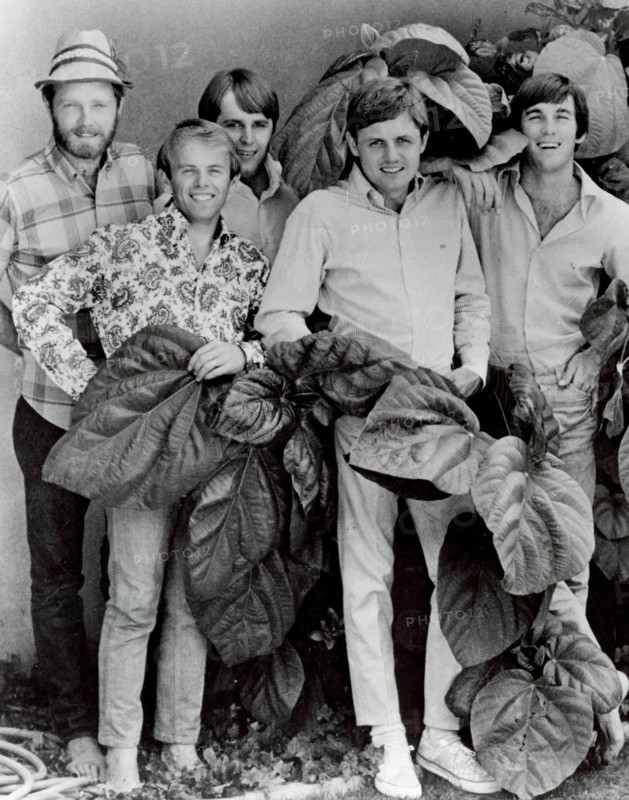 The Beach Boys