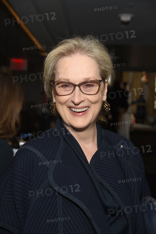 Meryl Streep at the 31st Annual Citymeals on Wheels Power Lunch for Women in New York Cit