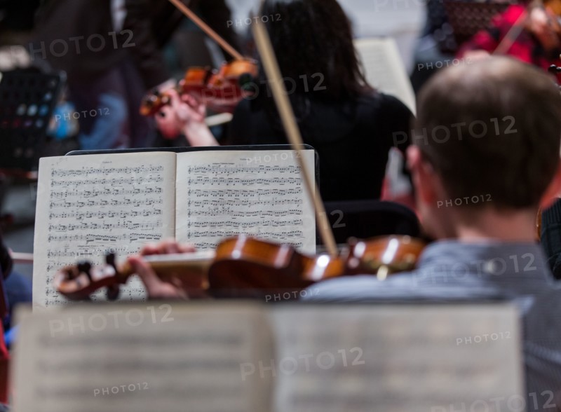 Musicians from the Syrian Expat Philharmonic Orchestra (SEPO) rehearse on 28 January 2016 in St. Nicholas' Church in Rostock (Mecklenburg-Western Pomerania). On 29 January 2016, the 64 musicians from 14 countries will perform Ludwig van Beethoven's Ninth Symphony at a charity concert. Some of the musicians fled the war in Syria, while others left their homes in Egypt or Palestine voluntarily to study music in Berlin or Munich. The donations collected during the evening will be used to finance projects with refugee children. Photo: Jens Büttner/dpa (for dpa "Orchestra with 64 musicians from 14 nations – concert for refugees" on 29 January 2016) | Worldwide use