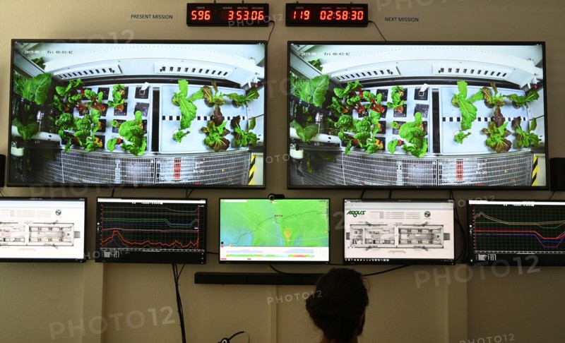 23.08.2019, Brême : Un employé de l'initiative EDEN du Centre aérospatial allemand (DLR) est assis dans la salle de contrôle et observe sur des écrans une serre en Antarctique. Les scientifiques y ont fait pousser des fruits et des légumes sans terre sous une lumière artificielle. La serre est utilisée depuis le début de 2018 et est actuellement exploitée par l'équipe de l'Institut Alfred Wegener.