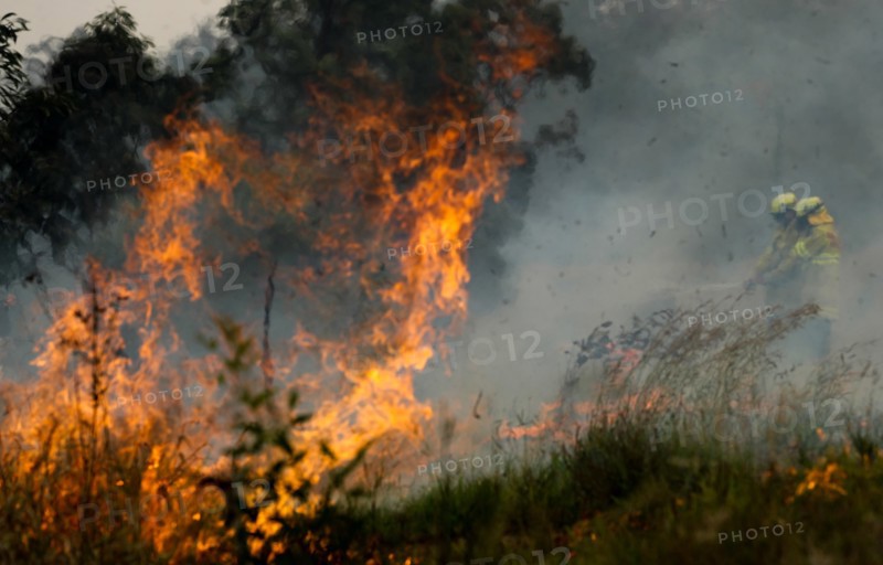 Firefighters battle the flames during bushfires near Taree, New South Wales, Australia, Nov. 11, 2019