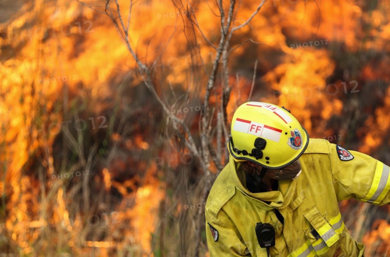 Firefighters battle the flames during bushfires near Taree, New South Wales, Australia, Nov. 11, 2019