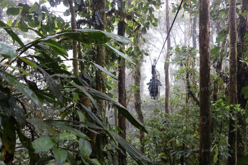 Mashpi lodge - Equateur