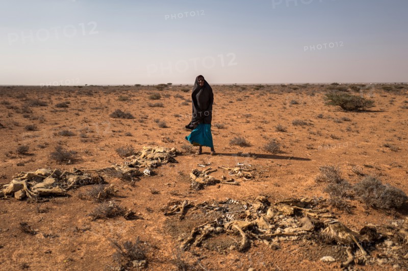 Saida Mousseh Mohammed Hassan, Somalia