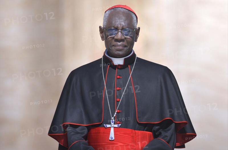 Cardinal Robert Sarah, Pope Francis during his weekly general audience on St.Peter's square at the Vatican on September 5, 2018