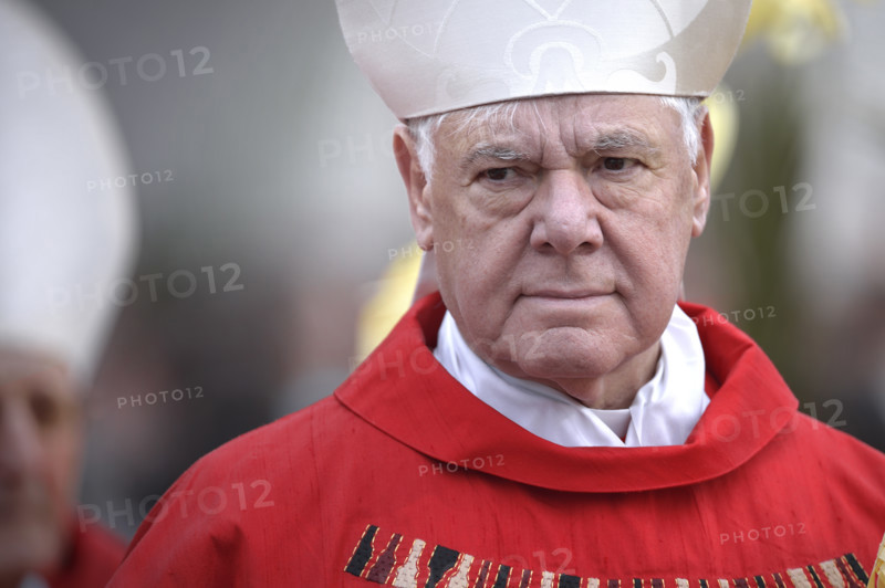 Cardinal Gerhard Ludwig Muller.Pope Francis celebrates the Palm Sunday mass in St Peter's square on April 2, 2023 at the Vatican.