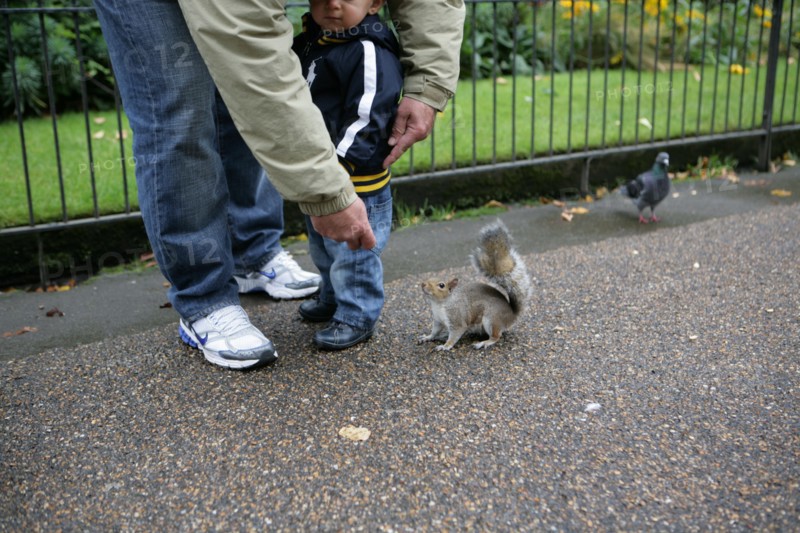 Kew Garden, Londres