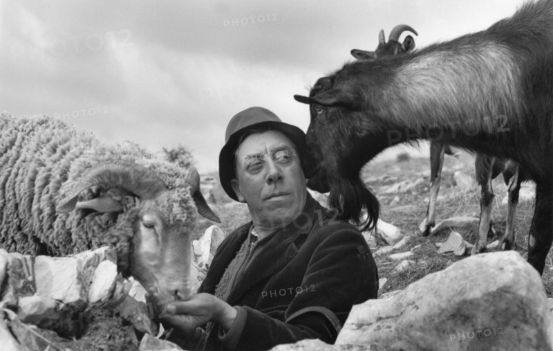 Fernandel (1960)