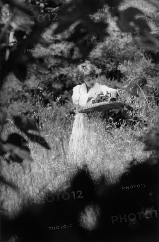 Jeanne Moreau