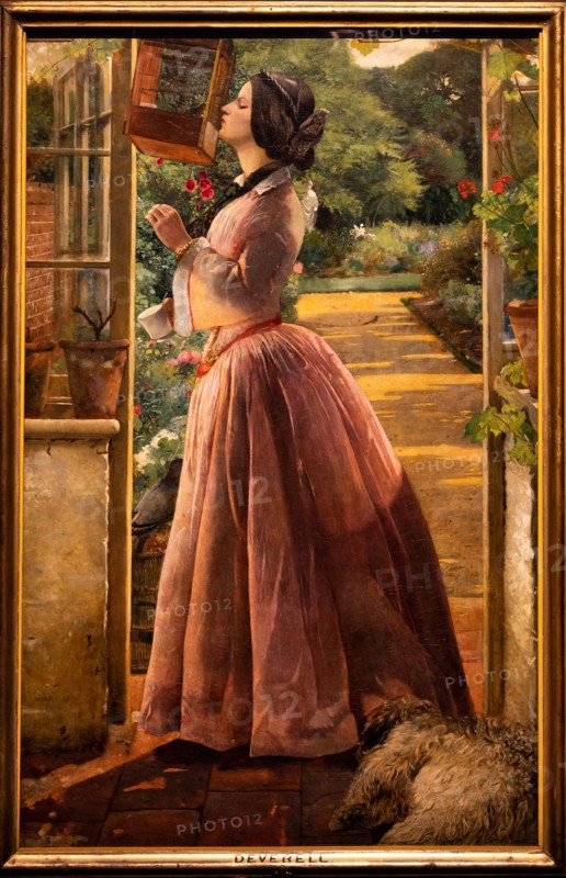 Deverell, "A Pet"