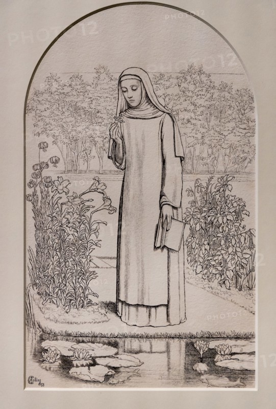 Collins, "Convent Thoughts"