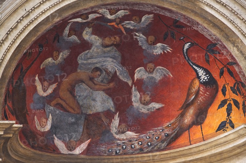 Duomo (Cattedrale di S. Maria Assunta