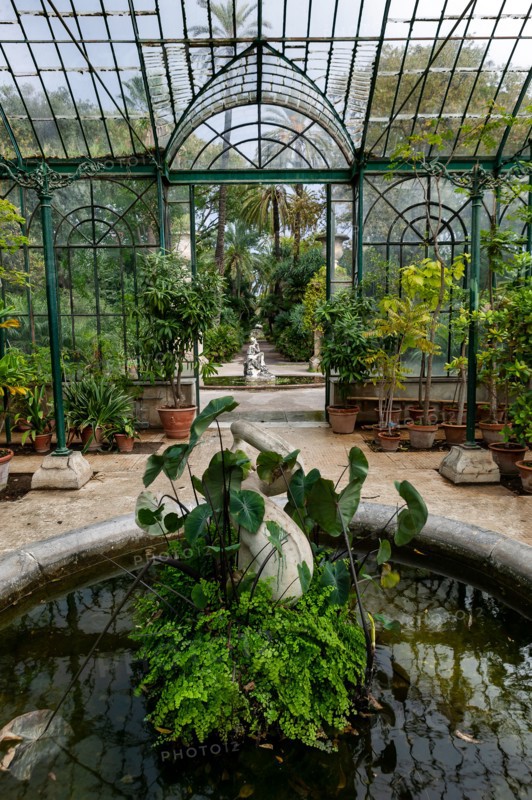 Jardin botanique de Palerme
