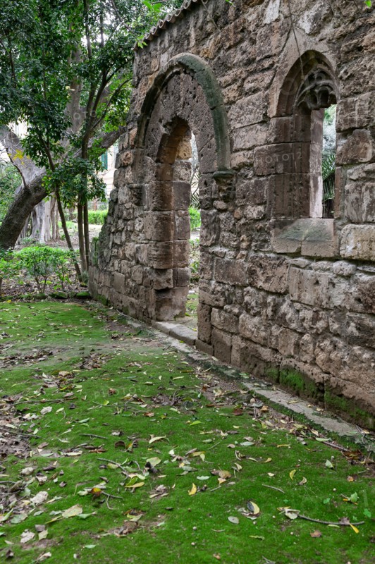 Palermo, the Botanical Gardens