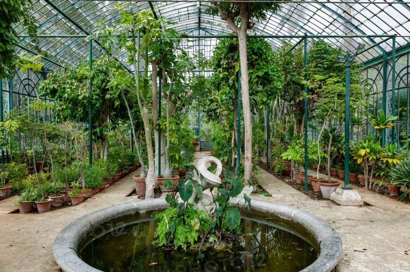 Jardin botanique de Palerme