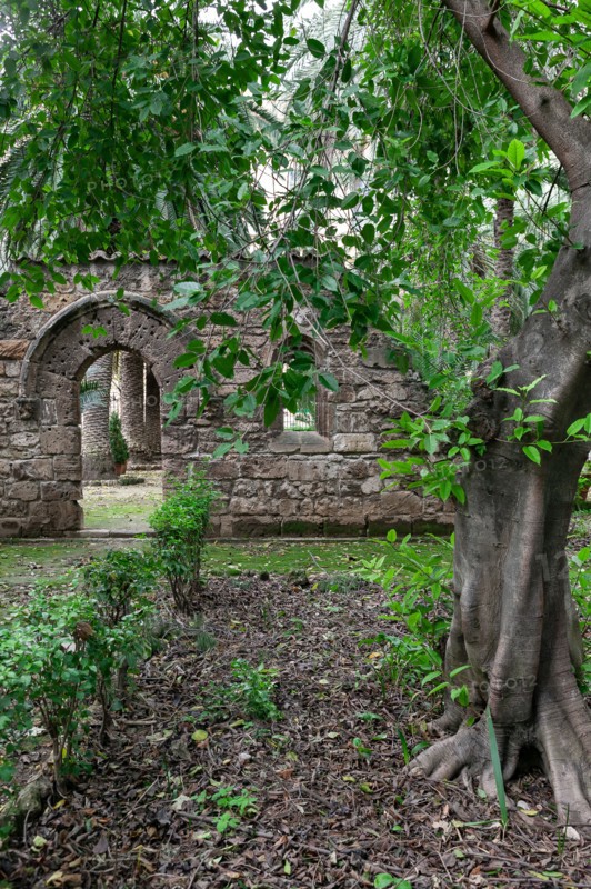 Jardin botanique de Palerme