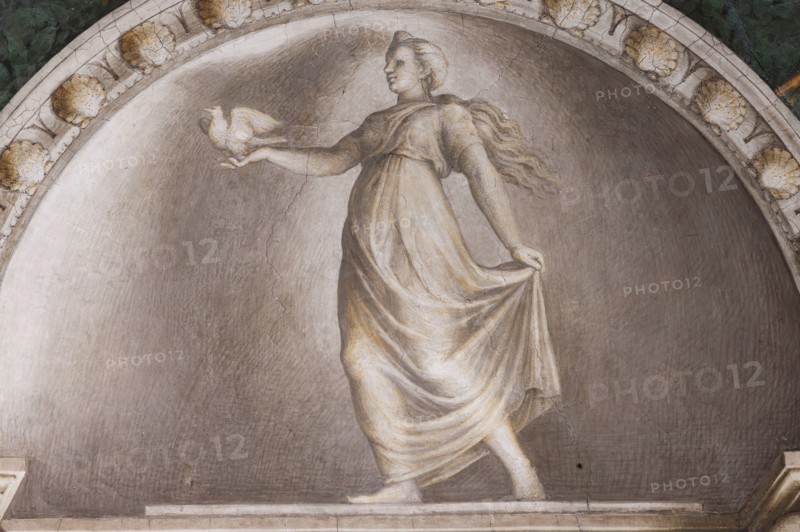 Parma, Former Monastery of St. Paul, Chamber of the Abbess or of St Paul or of Giovanna da Piacenza, the vault