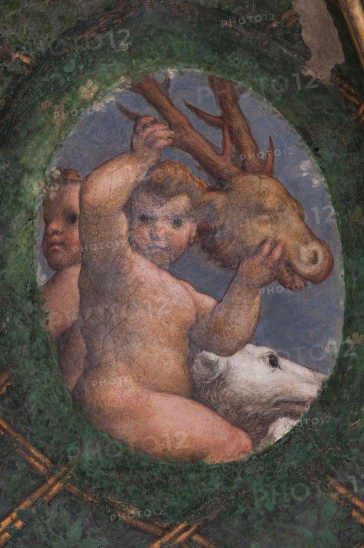 Parme, ancien couvent de San Paolo, chambre de l'Abbesse Giovanna da Piacenza ou de San Paolo, the vault