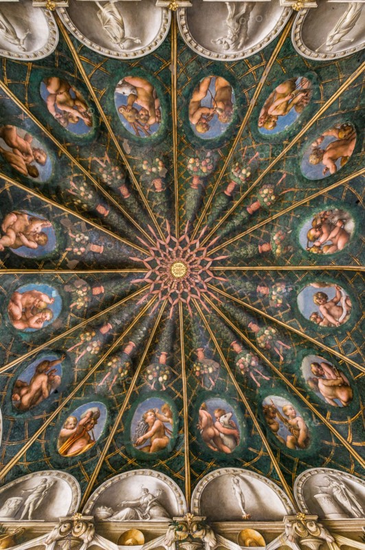 Parma, Former Monastery of St. Paul, Chamber of the Abbess or of St Paul or of Giovanna da Piacenza, the vault