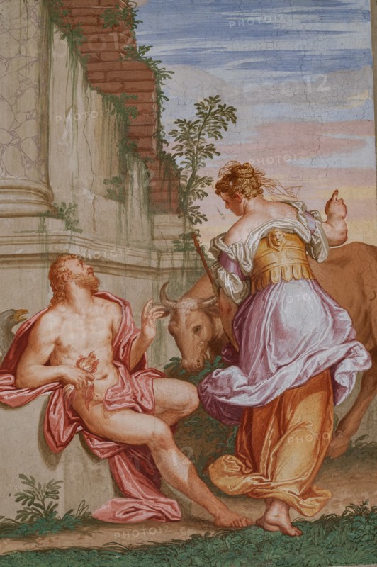 Fanzolo, Villa Emo, the Io room