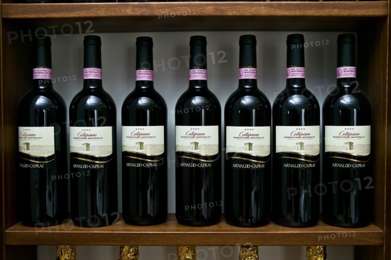 Winery Arnaldo Caprai