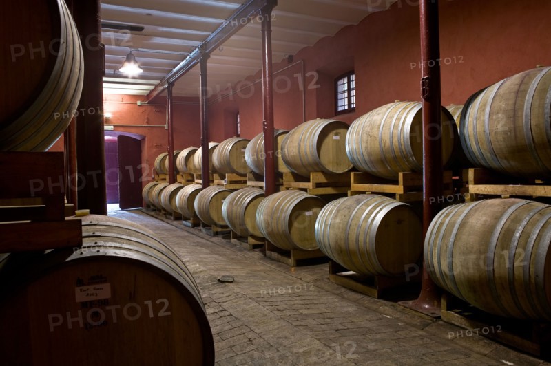 Winery Scacciadiavoli in Montefalco, Italie