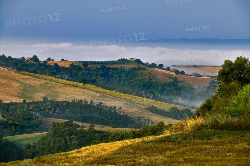 Hills near Saragano, Umbria, Italie