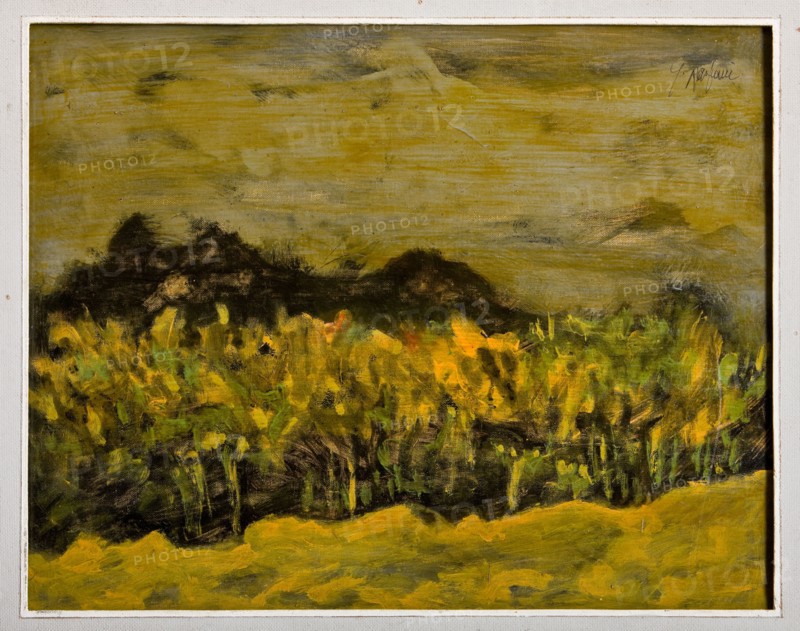 Giulio Rasponi, "Landscape"