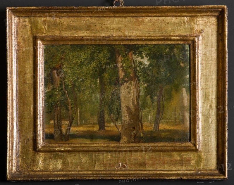 Albano Lugli;"The Wood"