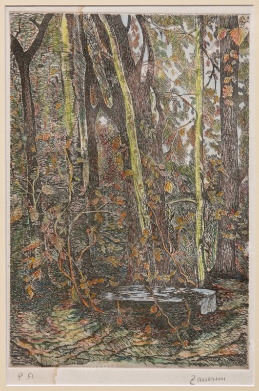 Remo Zanerini, "In the Wood"