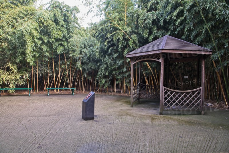 Fontanellato, Labirinto della Masone, by Franco Maria Ricci: one corner in the labyrinth with bamboo plants