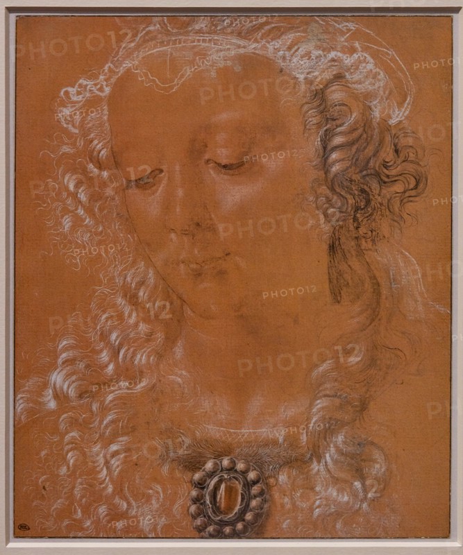 "A Young Woman in Bust Length, three quarter view", by Andrea Del Verrocchio