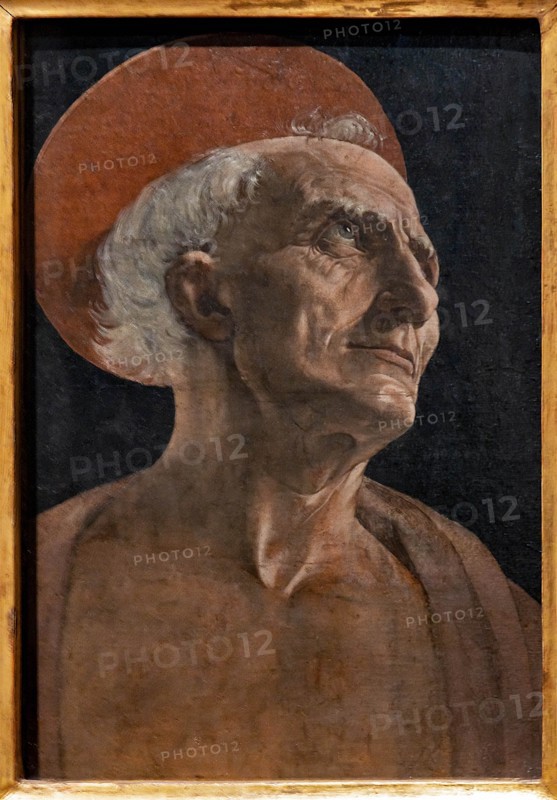 "St. Jerome", by Andrea Del Verrocchio