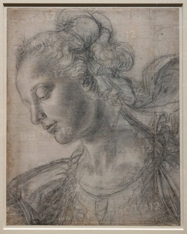 "Young Woman", by Andrea Del Verrocchio