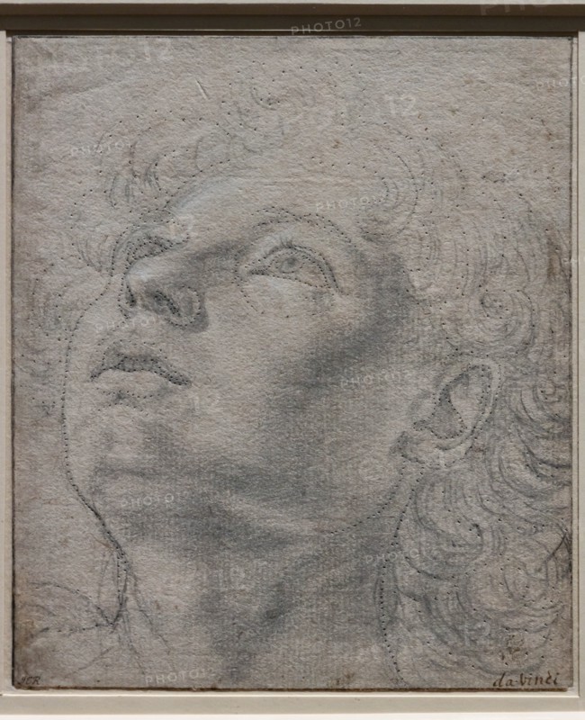 "Head of a Young Man", by Andrea Del Verrocchio