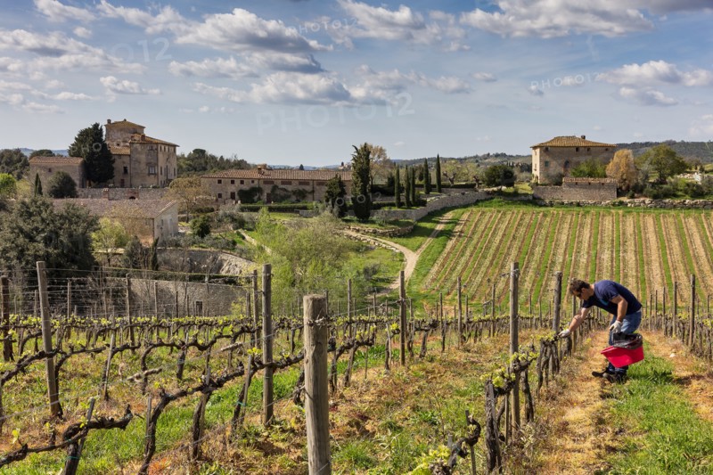 Gaiole in Chianti, Brolio Castle, Azienda Ricasoli (Wine making Company)