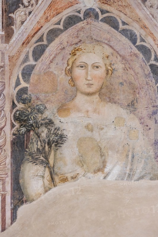 Allegory of the Dialectic. Frescoes by Jacopo di Cione