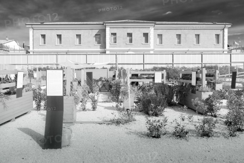 MEIS, National Museum of Italian Judaism and the Shoah in the town of Ferrara, Italy