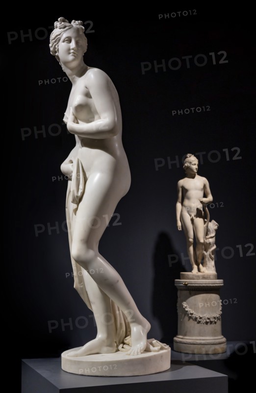 "Venus", by Antonio Canova