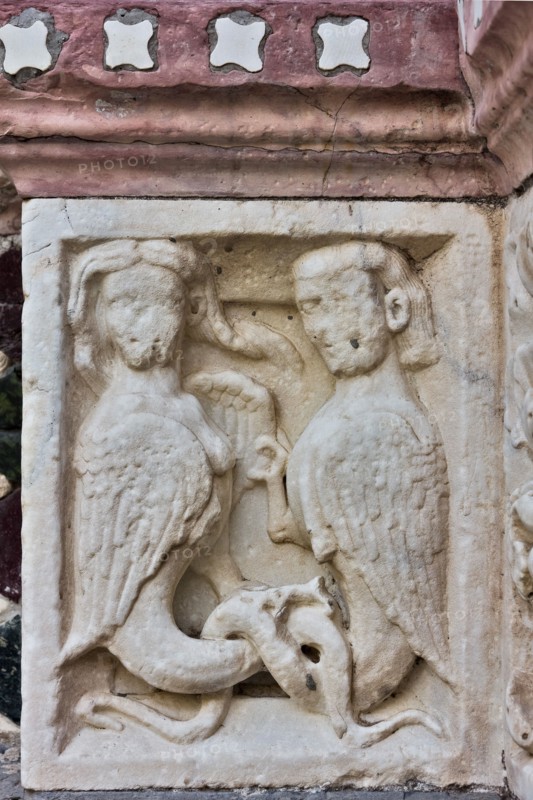 The Genoa Cathedral