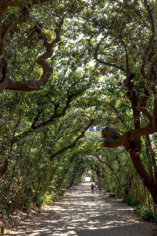 The Boboli Gardens in Florence