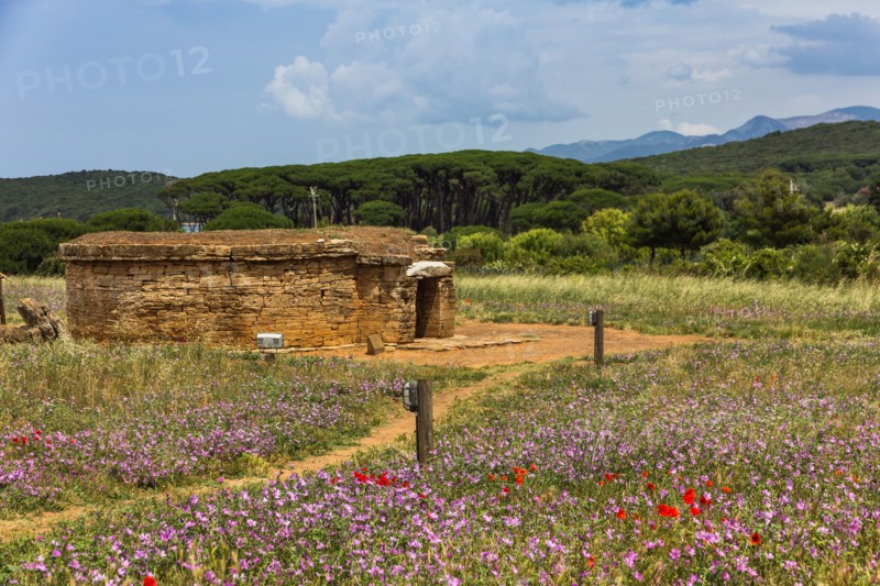 Baratti and Populonia Archeological Park