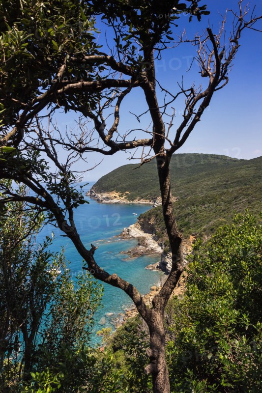 Village médiéval de Populonia, en Italie