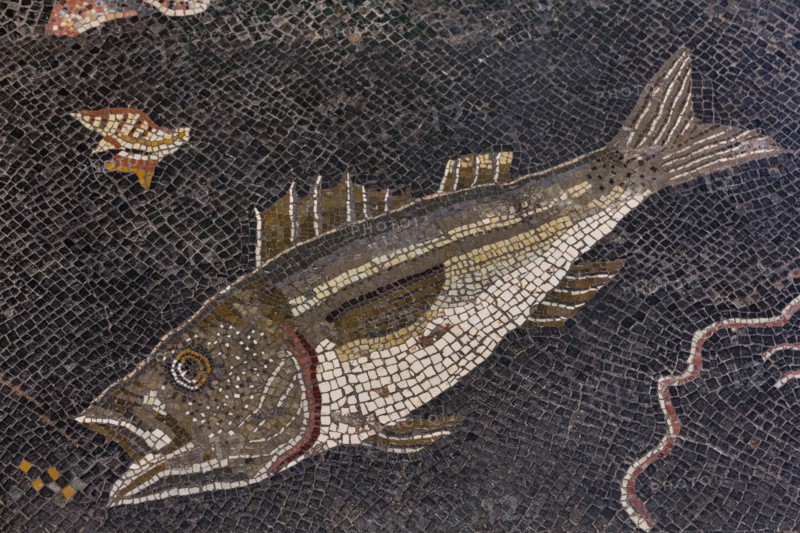 Piombino archaeological museum, Italy