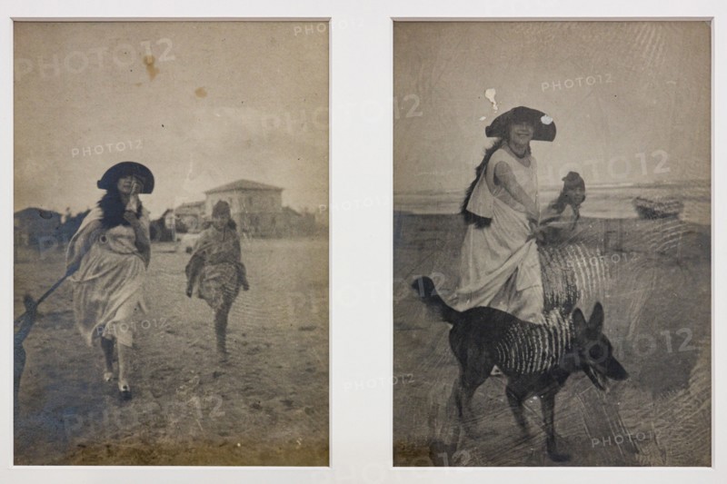 “Ragazza sulla spiaggia con cane"