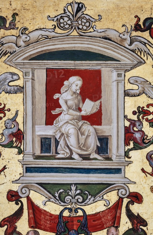 Vault of the Piccolomini Library in Siena